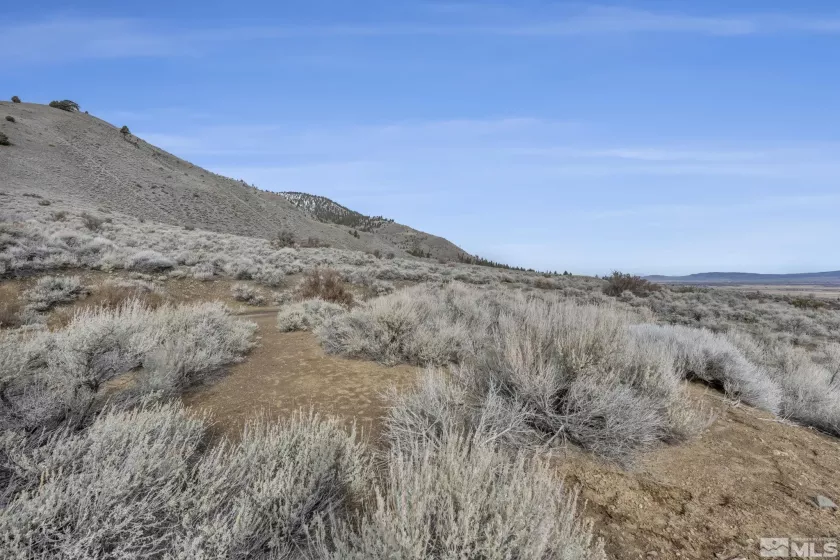 Lot 10 Hawkins Peak, Markleeville, California 96120, ,Land,Residential,Hawkins Peak,250001785