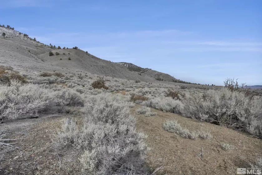 Lot 10 Hawkins Peak, Markleeville, California 96120, ,Land,Residential,Hawkins Peak,250001785