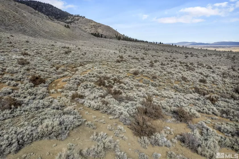 Lot 10 Hawkins Peak, Markleeville, California 96120, ,Land,Residential,Hawkins Peak,250001785