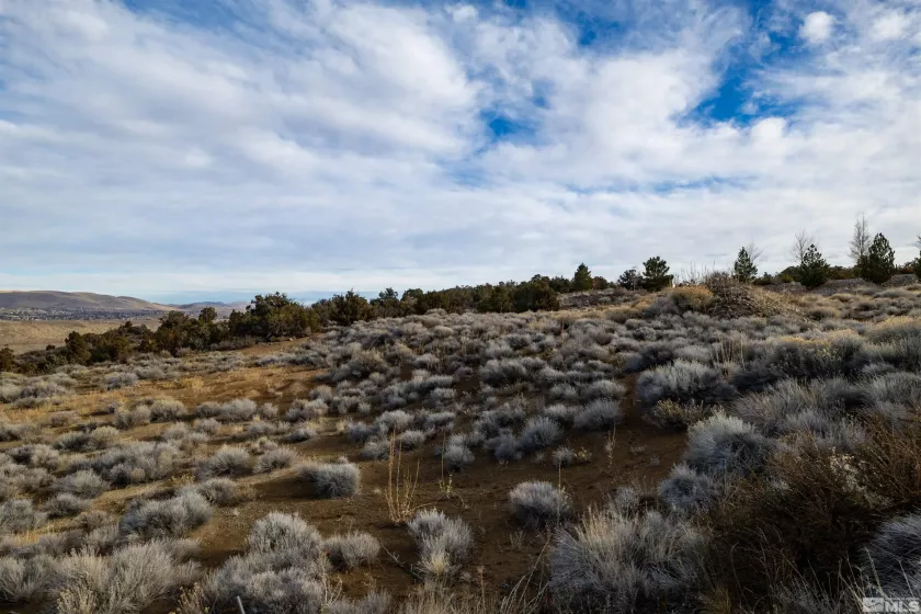 4930 Woodchuck, Reno, Nevada 89519, ,Land,Residential,Woodchuck,250054186