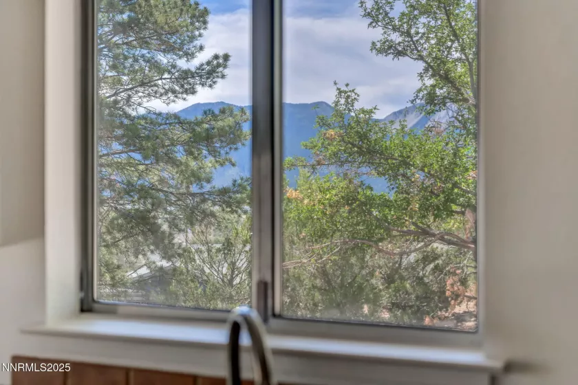 290 Coot, Washoe Valley, Nevada 89704, 3 Bedrooms Bedrooms, ,2 BathroomsBathrooms,Residential,Residential,Coot,250054195