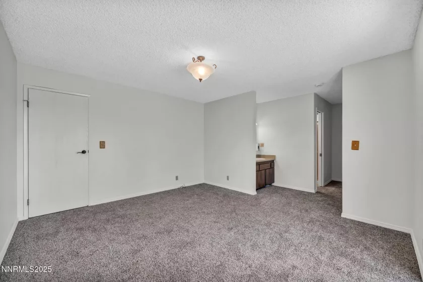 290 Coot, Washoe Valley, Nevada 89704, 3 Bedrooms Bedrooms, ,2 BathroomsBathrooms,Residential,Residential,Coot,250054195