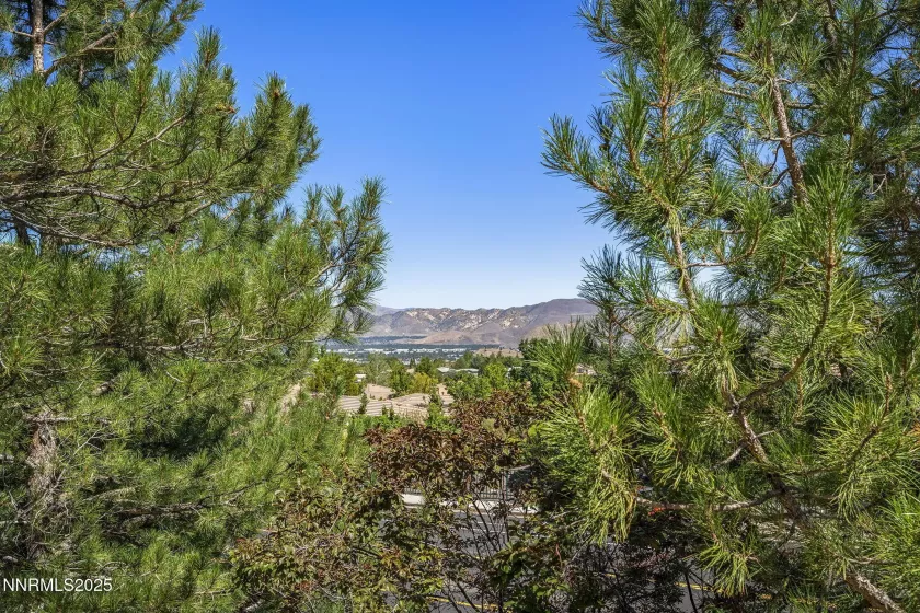3601 Skyline, Reno, Nevada 89509, 2 Bedrooms Bedrooms, ,3 BathroomsBathrooms,Residential,Residential,Skyline,250054220