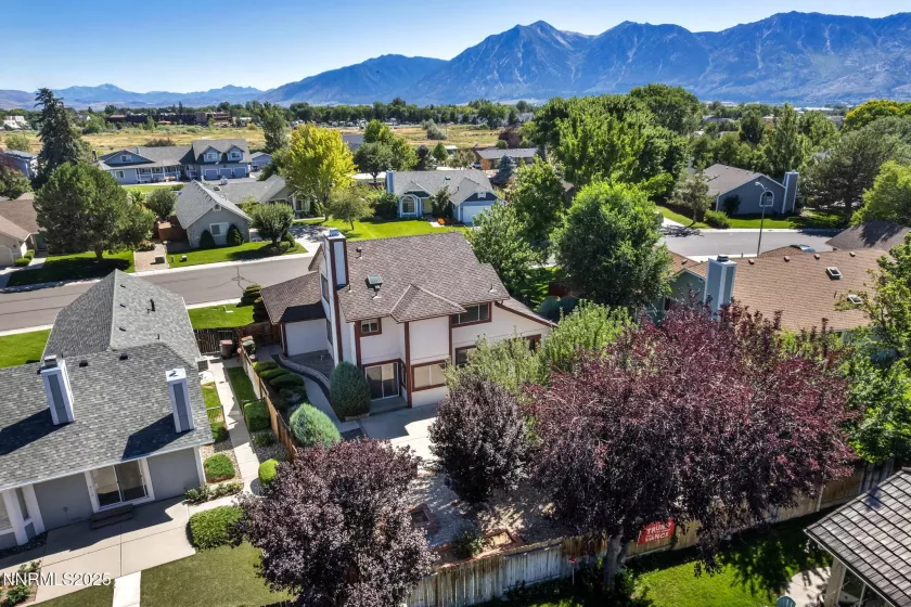 1701 Lantana, Minden, Nevada 89423, 3 Bedrooms Bedrooms, ,3 BathroomsBathrooms,Residential,Residential,Lantana,250054242