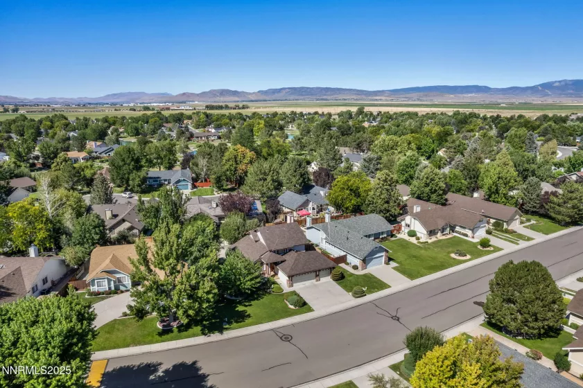 1701 Lantana, Minden, Nevada 89423, 3 Bedrooms Bedrooms, ,3 BathroomsBathrooms,Residential,Residential,Lantana,250054242