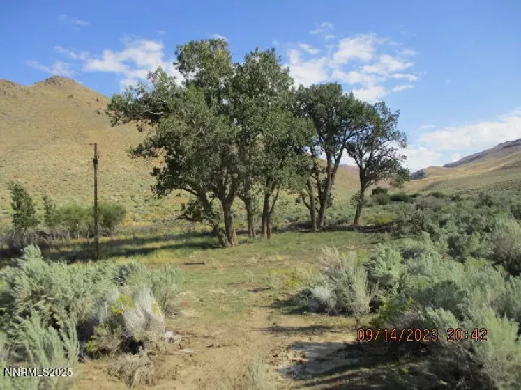 00-Horse Creek Ranch Road Horse Creek, Orovada, Nevada 89425, 1 Bedroom Bedrooms, ,Farm & Ranch,Residential,Horse Creek,250054260