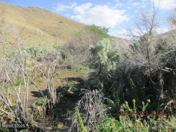 00-Horse Creek Ranch Road Horse Creek, Orovada, Nevada 89425, 1 Bedroom Bedrooms, ,Farm & Ranch,Residential,Horse Creek,250054260