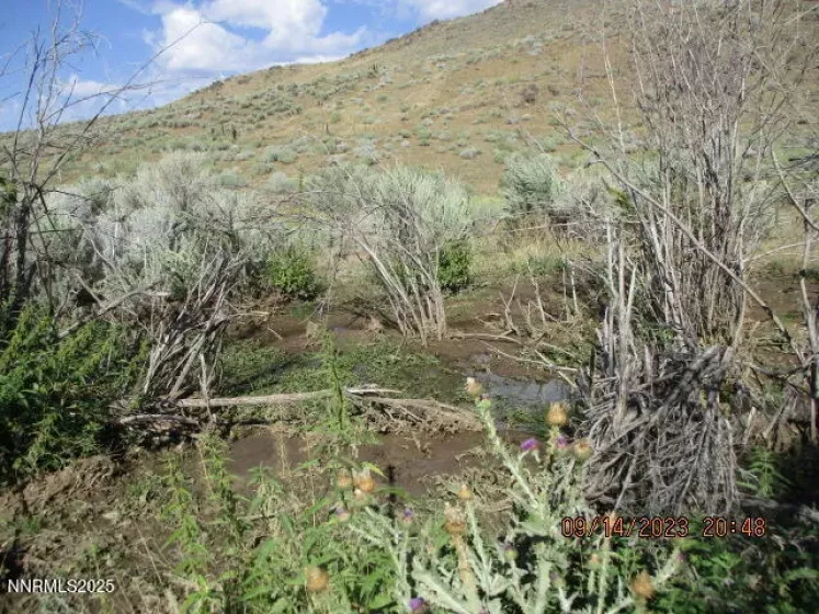 00-Horse Creek Ranch Road Horse Creek, Orovada, Nevada 89425, 1 Bedroom Bedrooms, ,Farm & Ranch,Residential,Horse Creek,250054260