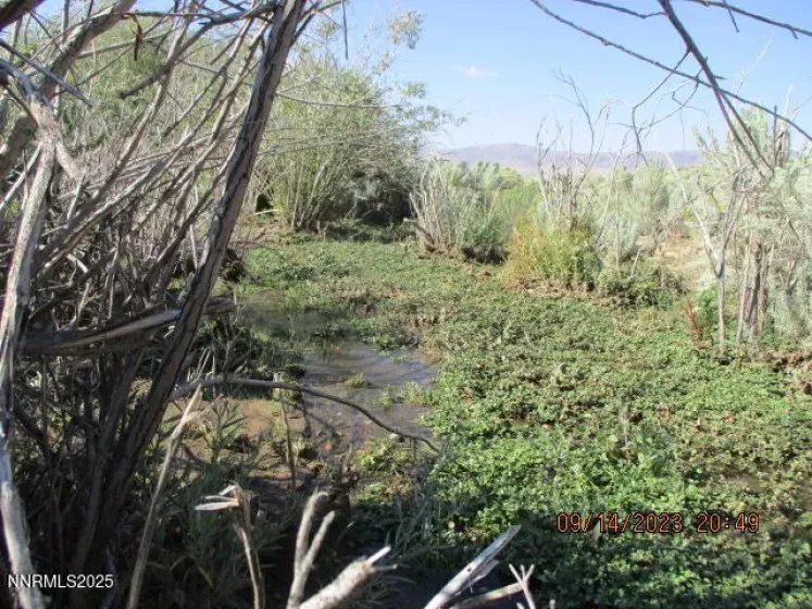 00-Horse Creek Ranch Road Horse Creek, Orovada, Nevada 89425, 1 Bedroom Bedrooms, ,Farm & Ranch,Residential,Horse Creek,250054260