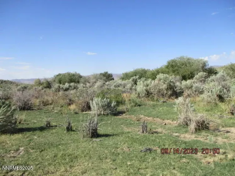 00-Horse Creek Ranch Road Horse Creek, Orovada, Nevada 89425, 1 Bedroom Bedrooms, ,Farm & Ranch,Residential,Horse Creek,250054260