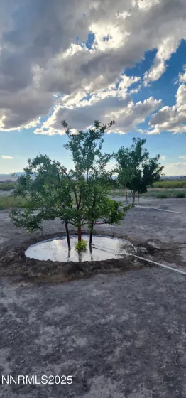 1 Spence, Yerington, Nevada 89447, 2 Bedrooms Bedrooms, ,2 BathroomsBathrooms,Residential,Residential,Spence,250004367