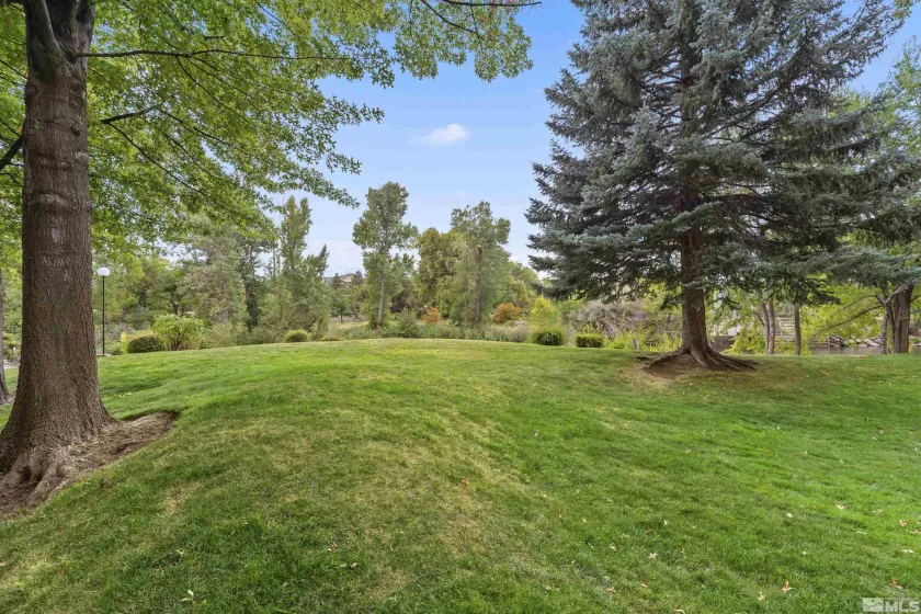 1200 Riverside, Reno, Nevada 89503, 1 Bedroom Bedrooms, ,1 BathroomBathrooms,Residential,Residential,Riverside,250054353