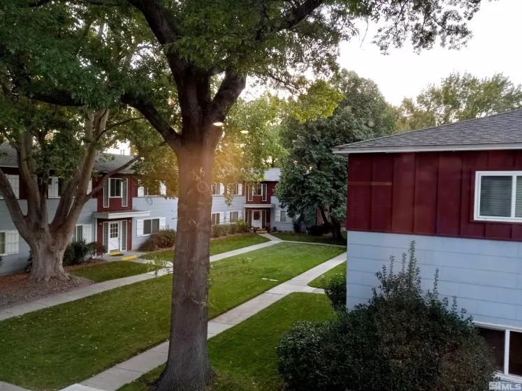 View from front window