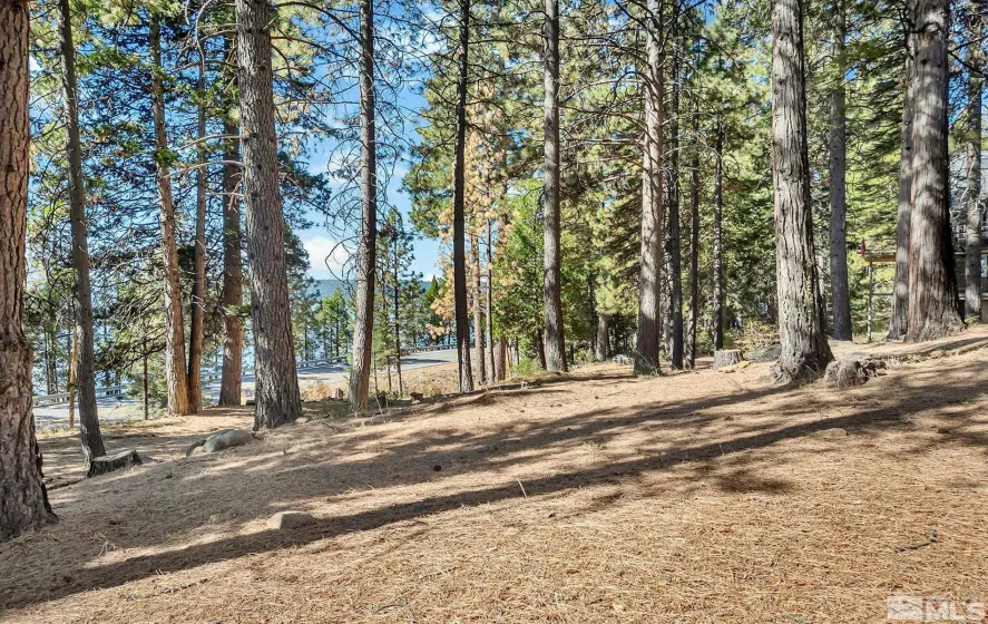 6545 Dyer, Other, California 99999, 4 Bedrooms Bedrooms, ,4 BathroomsBathrooms,Residential,Residential,Dyer,250004436