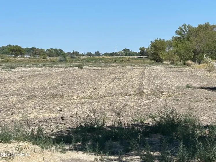604 Serpa, Fallon, Nevada 89406, ,Land,Residential,Serpa,0,250054373