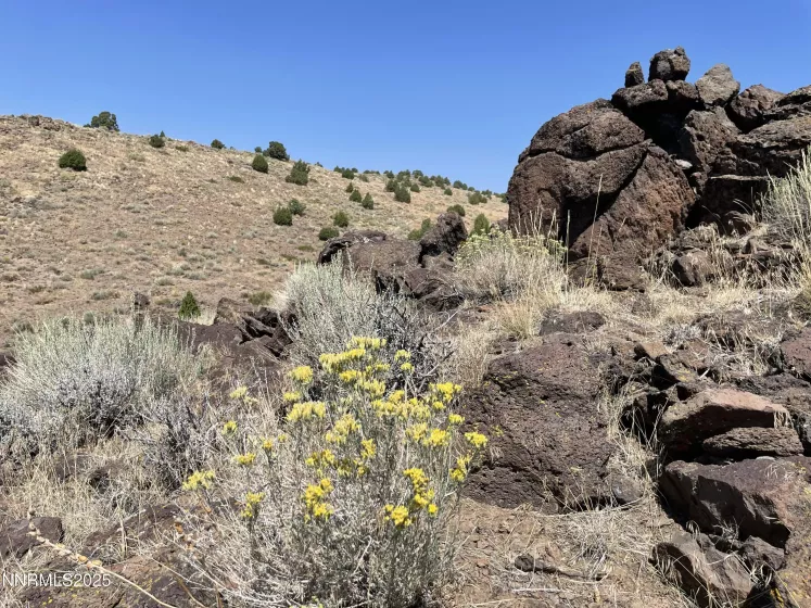 0 Quaking Aspen, Reno, Nevada 89510, ,Land,Residential,Quaking Aspen,250054374