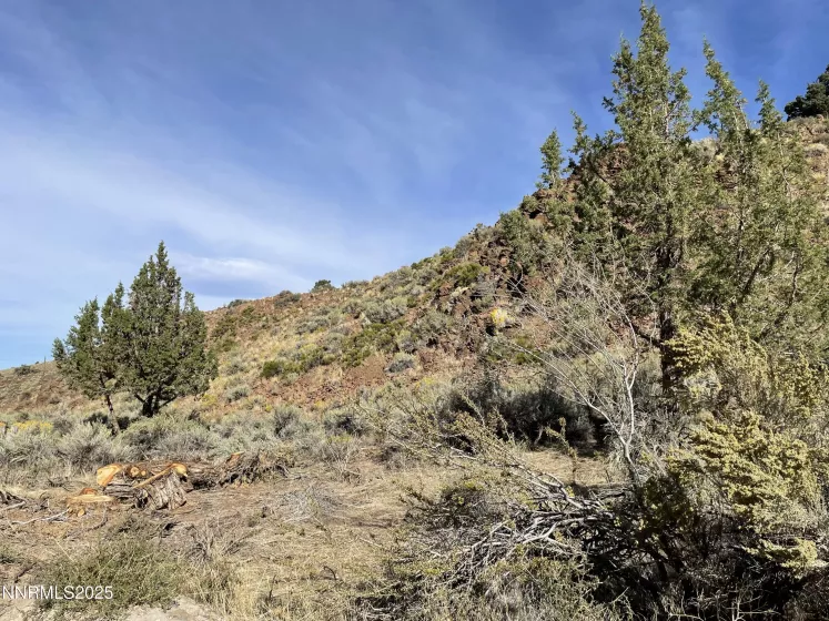 0 Quaking Aspen, Reno, Nevada 89510, ,Land,Residential,Quaking Aspen,250054374