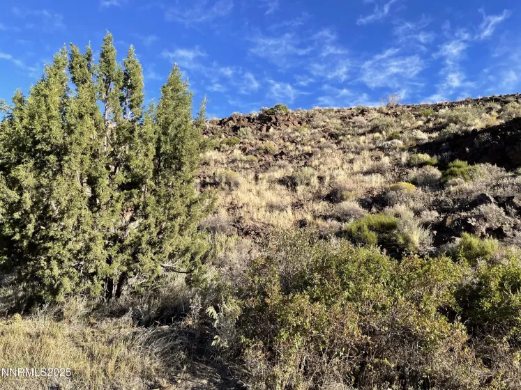 0 Quaking Aspen, Reno, Nevada 89510, ,Land,Residential,Quaking Aspen,250054374