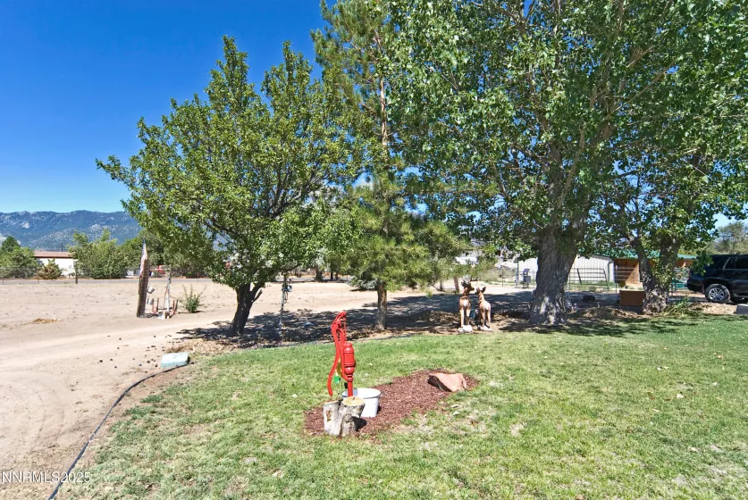 3460 Pershing, Washoe Valley, Nevada 89704, 3 Bedrooms Bedrooms, ,2 BathroomsBathrooms,Residential,Residential,Pershing,250054394