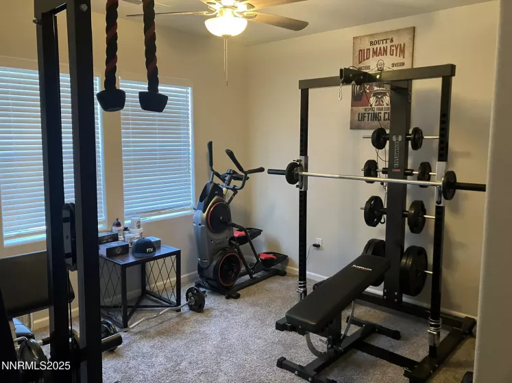 165 Royal Oaks, Fernley, Nevada 89408, 3 Bedrooms Bedrooms, ,2 BathroomsBathrooms,Residential,Residential,Royal Oaks,250054396