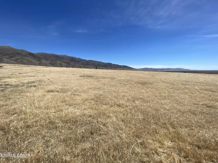 11895 Union Valley, Lovelock, Nevada 89419, ,Land,Residential,Union Valley,250054410