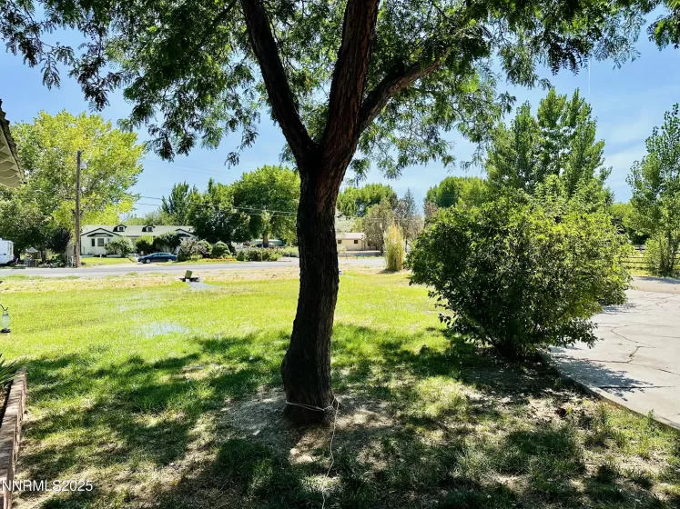 2998 Alcorn, Fallon, Nevada 89406, 3 Bedrooms Bedrooms, ,2 BathroomsBathrooms,Residential,Residential,Alcorn,250054430