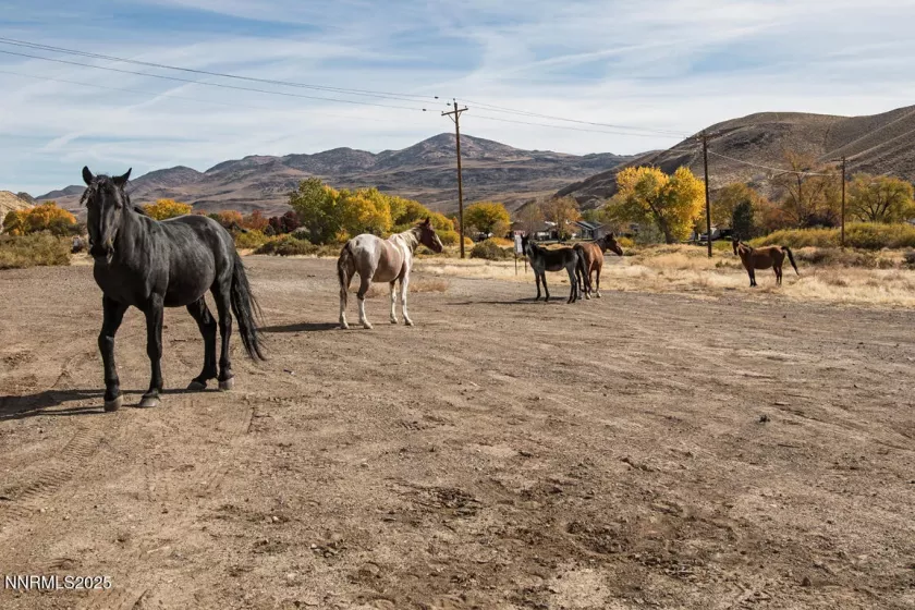 22 Ave De La Couleurs, Sparks, Nevada 89434, 3 Bedrooms Bedrooms, ,2 BathroomsBathrooms,Residential,Residential,Ave De La Couleurs,250054435