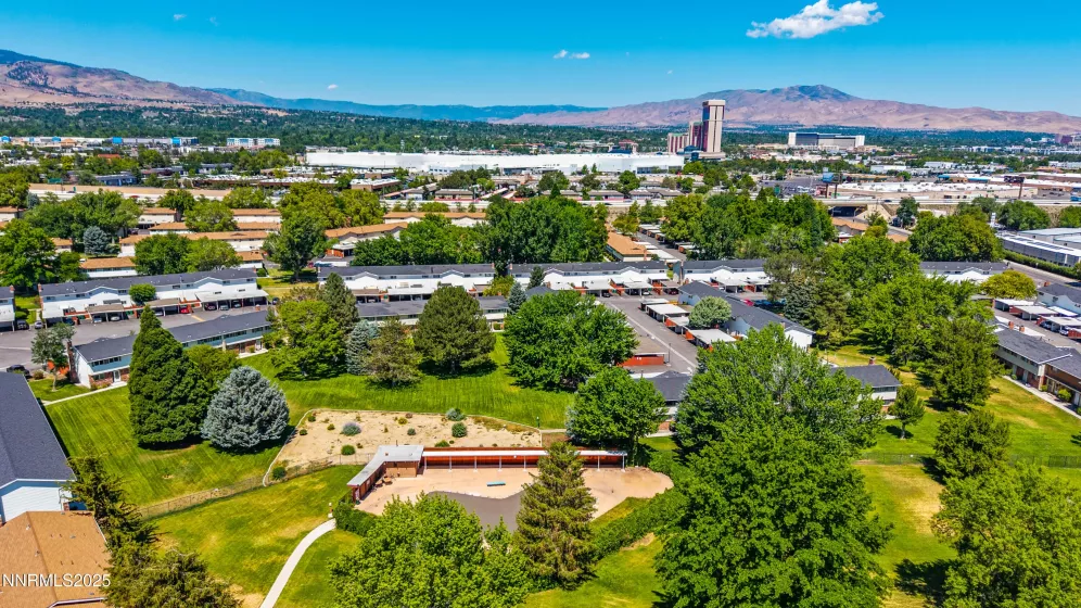 AERIAL