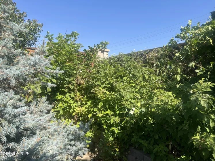 900 Jill Marie, Fernley, Nevada 89408, 3 Bedrooms Bedrooms, ,2 BathroomsBathrooms,Residential,Residential,Jill Marie,250054530