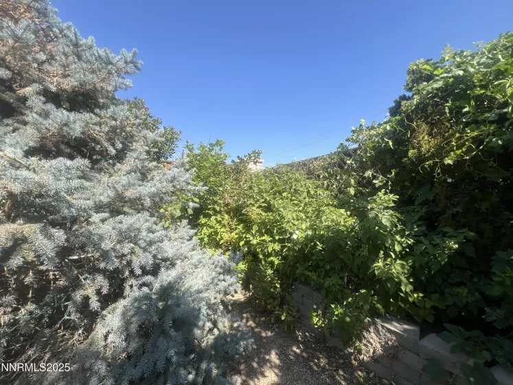 900 Jill Marie, Fernley, Nevada 89408, 3 Bedrooms Bedrooms, ,2 BathroomsBathrooms,Residential,Residential,Jill Marie,250054530