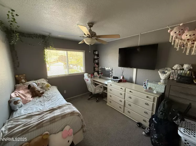 6995 Peppermint, Reno, Nevada 89506, 4 Bedrooms Bedrooms, ,3 BathroomsBathrooms,Residential,Residential,Peppermint,250054558