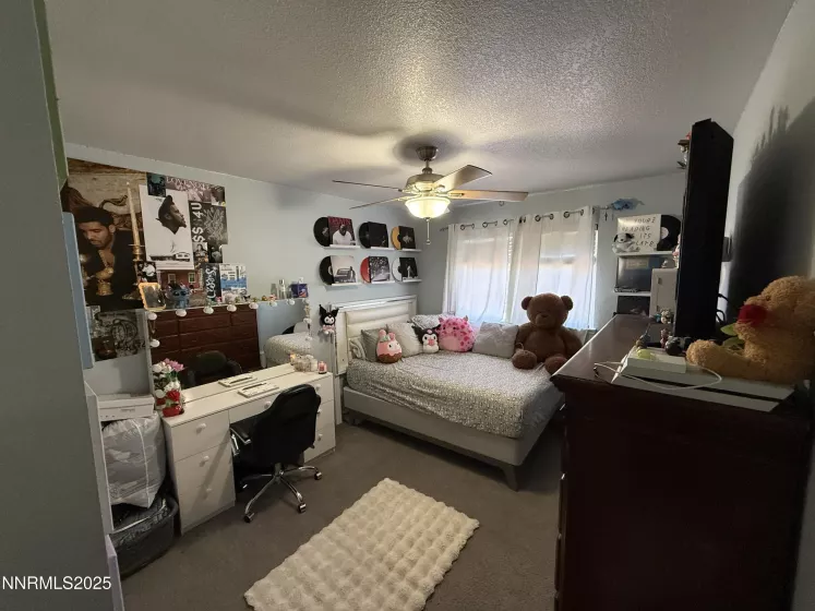 6995 Peppermint, Reno, Nevada 89506, 4 Bedrooms Bedrooms, ,3 BathroomsBathrooms,Residential,Residential,Peppermint,250054558