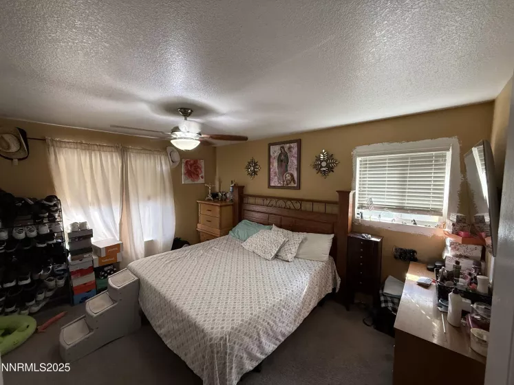 6995 Peppermint, Reno, Nevada 89506, 4 Bedrooms Bedrooms, ,3 BathroomsBathrooms,Residential,Residential,Peppermint,250054558
