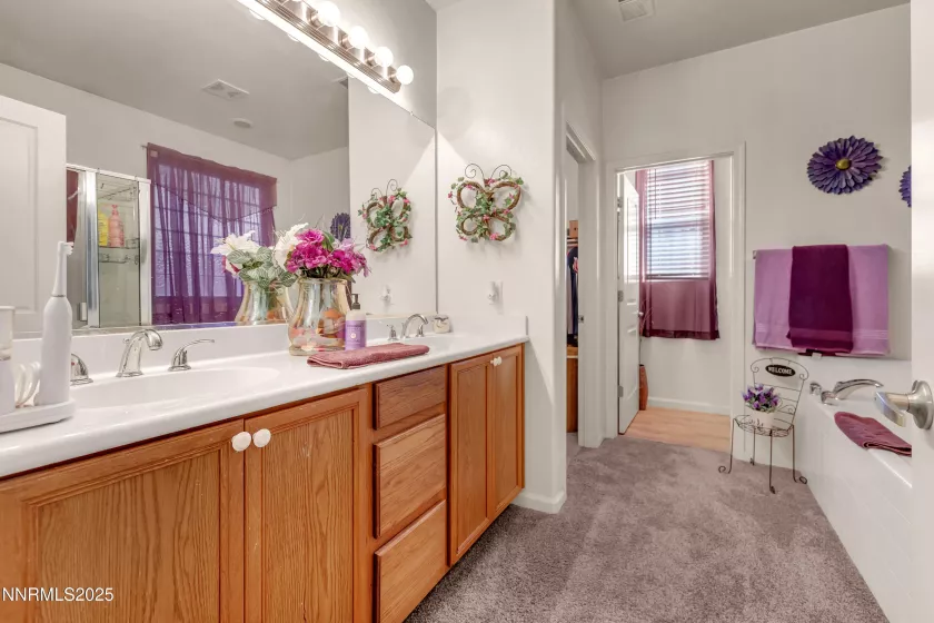 519 Sand Crane, Sparks, Nevada 89436, 3 Bedrooms Bedrooms, ,2 BathroomsBathrooms,Residential,Residential,Sand Crane,250054572