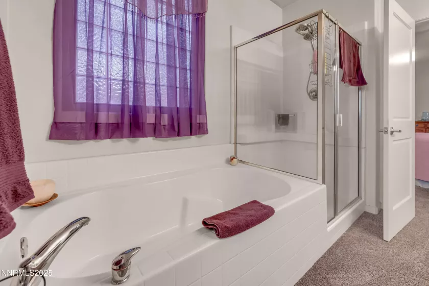 519 Sand Crane, Sparks, Nevada 89436, 3 Bedrooms Bedrooms, ,2 BathroomsBathrooms,Residential,Residential,Sand Crane,250054572