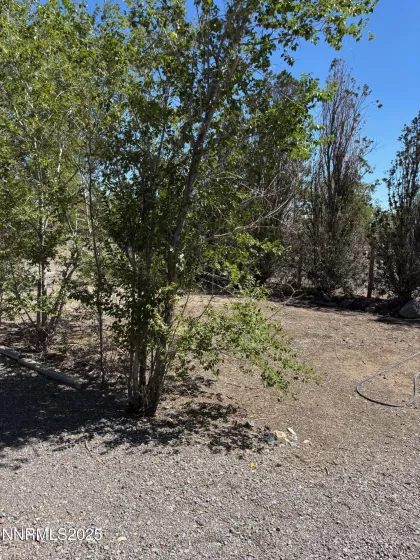3815 Amber, Silver Springs, Nevada 89429, 3 Bedrooms Bedrooms, ,2 BathroomsBathrooms,Residential,Residential,Amber,250054587