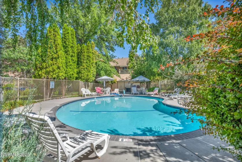 The condo swimming pool.
