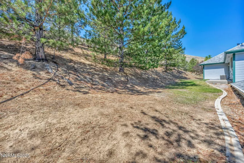 1046 Crain, Carson City, Nevada 89703, 3 Bedrooms Bedrooms, ,3 BathroomsBathrooms,Residential,Residential,Crain,250054631