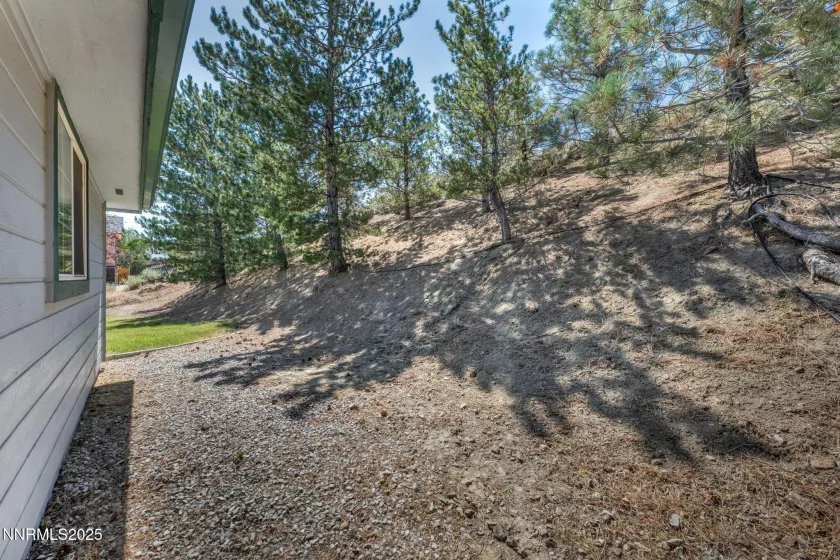 1046 Crain, Carson City, Nevada 89703, 3 Bedrooms Bedrooms, ,3 BathroomsBathrooms,Residential,Residential,Crain,250054631