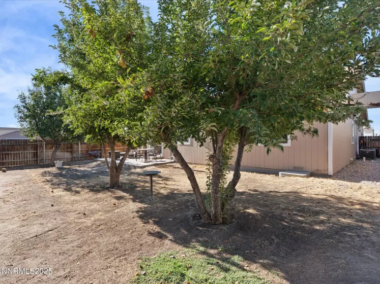 395 Beth, Fallon, Nevada 89406, 3 Bedrooms Bedrooms, ,2 BathroomsBathrooms,Residential,Residential,Beth,250054674