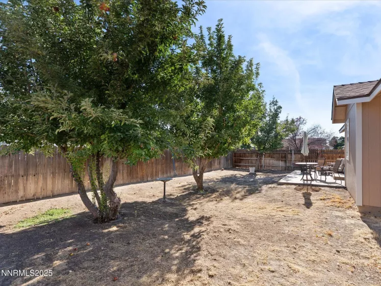 395 Beth, Fallon, Nevada 89406, 3 Bedrooms Bedrooms, ,2 BathroomsBathrooms,Residential,Residential,Beth,250054674