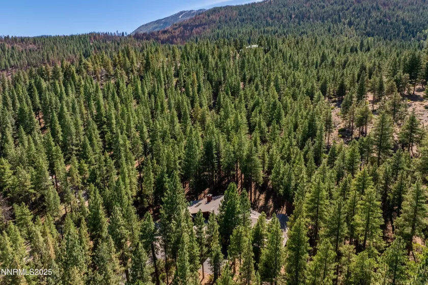 1745 Green Ash, Reno, Nevada 89511, 6 Bedrooms Bedrooms, ,7 BathroomsBathrooms,Residential,Residential,Green Ash,250054695