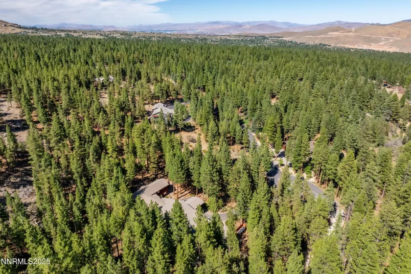 1745 Green Ash, Reno, Nevada 89511, 6 Bedrooms Bedrooms, ,7 BathroomsBathrooms,Residential,Residential,Green Ash,250054695