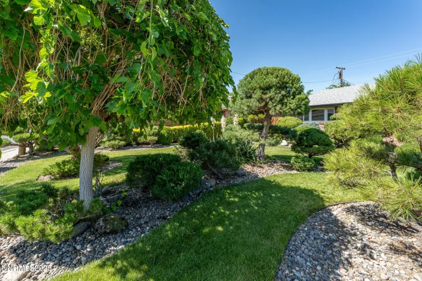615 Shamrock, Reno, Nevada 89509, 3 Bedrooms Bedrooms, ,3 BathroomsBathrooms,Residential,Residential,Shamrock,250054700