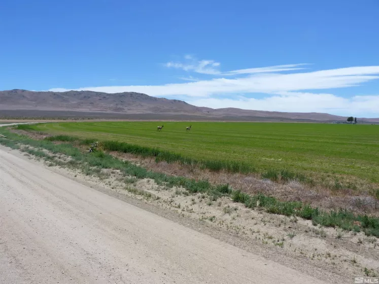 51955 Wilder Creek, Denio, Nevada 89404, 3 Bedrooms Bedrooms, ,2 BathroomsBathrooms,Farm & Ranch,Residential,Wilder Creek,240007548