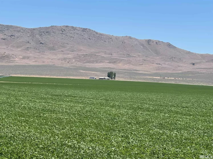 51955 Wilder Creek, Denio, Nevada 89404, 3 Bedrooms Bedrooms, ,2 BathroomsBathrooms,Farm & Ranch,Residential,Wilder Creek,240007548
