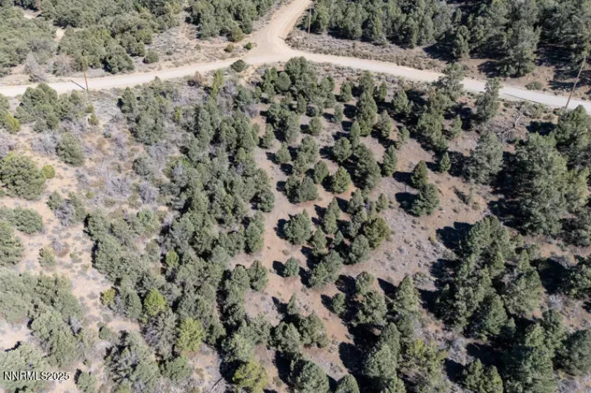 1450 Bonanza, Reno, Nevada 89521, ,Land,Residential,Bonanza,250054731