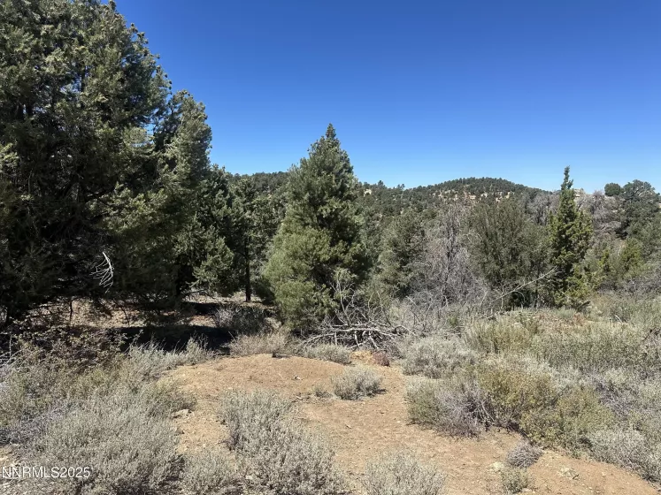 1450 Bonanza, Reno, Nevada 89521, ,Land,Residential,Bonanza,250054731