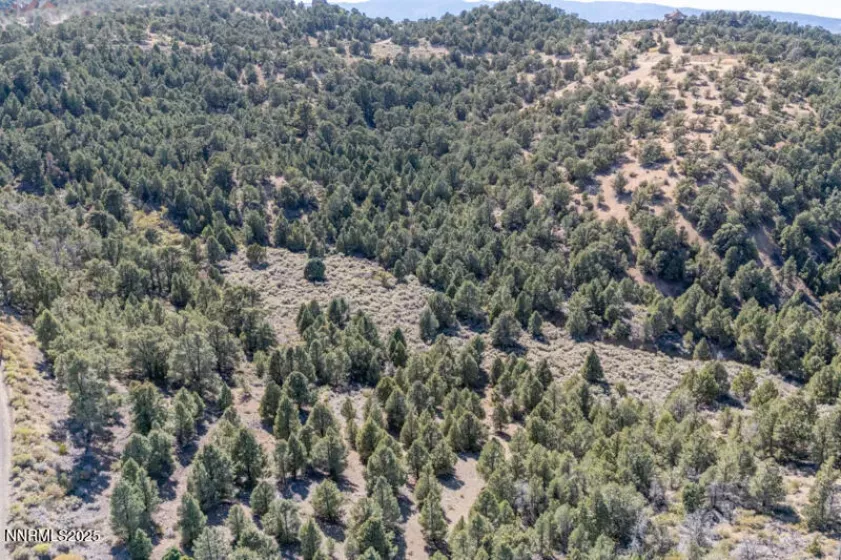 1450 Bonanza, Reno, Nevada 89521, ,Land,Residential,Bonanza,250054731