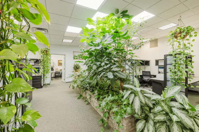106 Front, Elko, Nevada 89801, ,Commercial Sale,Residential,Front,250054752